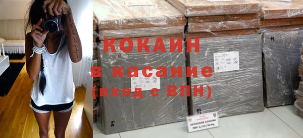 стаф Алексин
