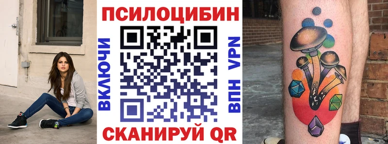 Псилоцибиновые грибы GOLDEN TEACHER  где найти наркотики  Дербент 